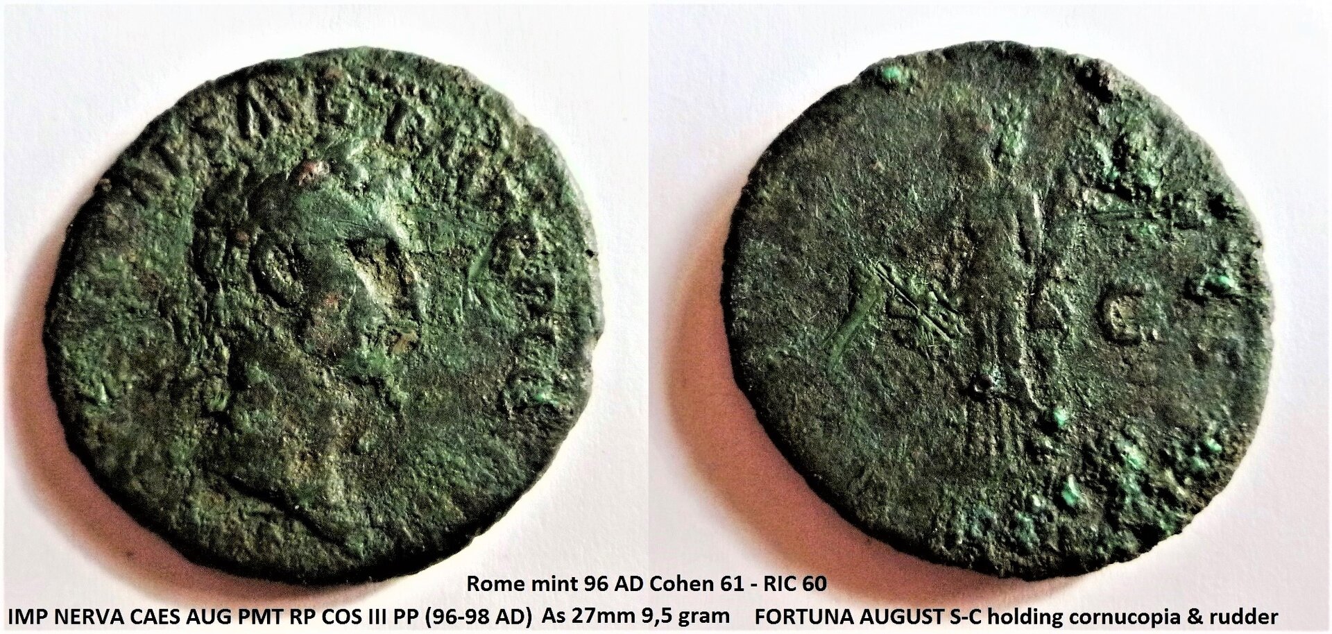 Nerva fortuna (2).JPG