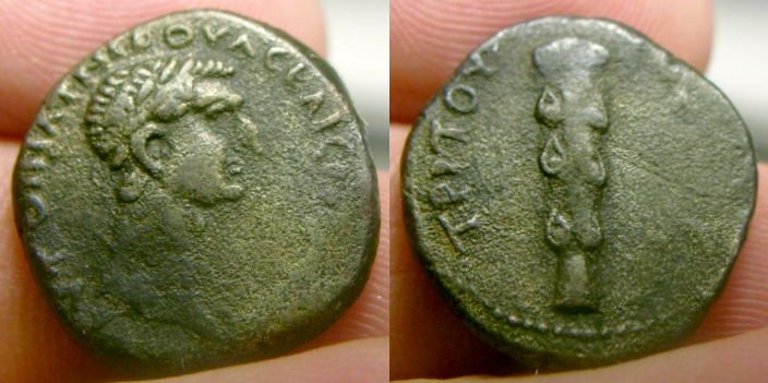 Nerva.jpg