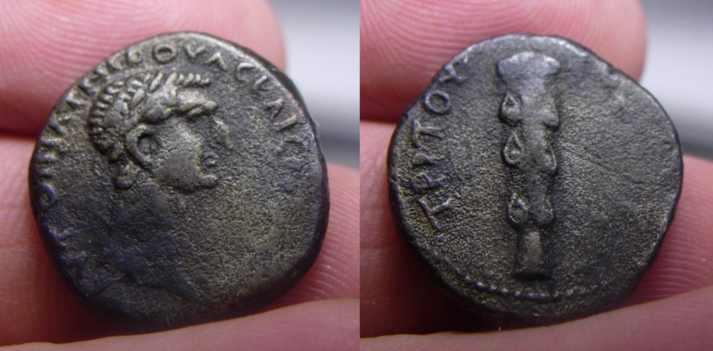 Nerva.jpg