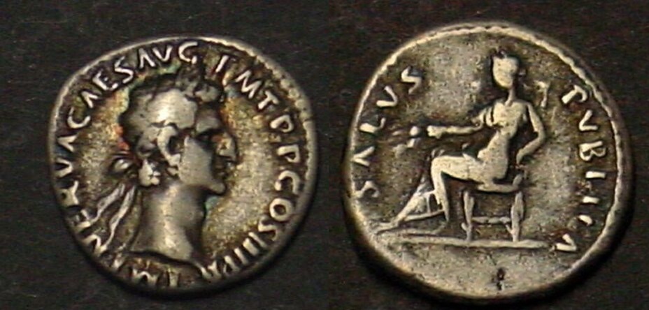 Nerva nose.jpg