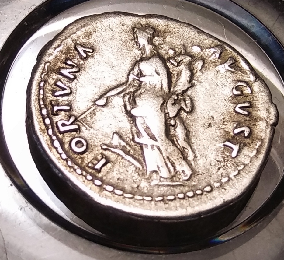 Nerva Rev. 3.jpg