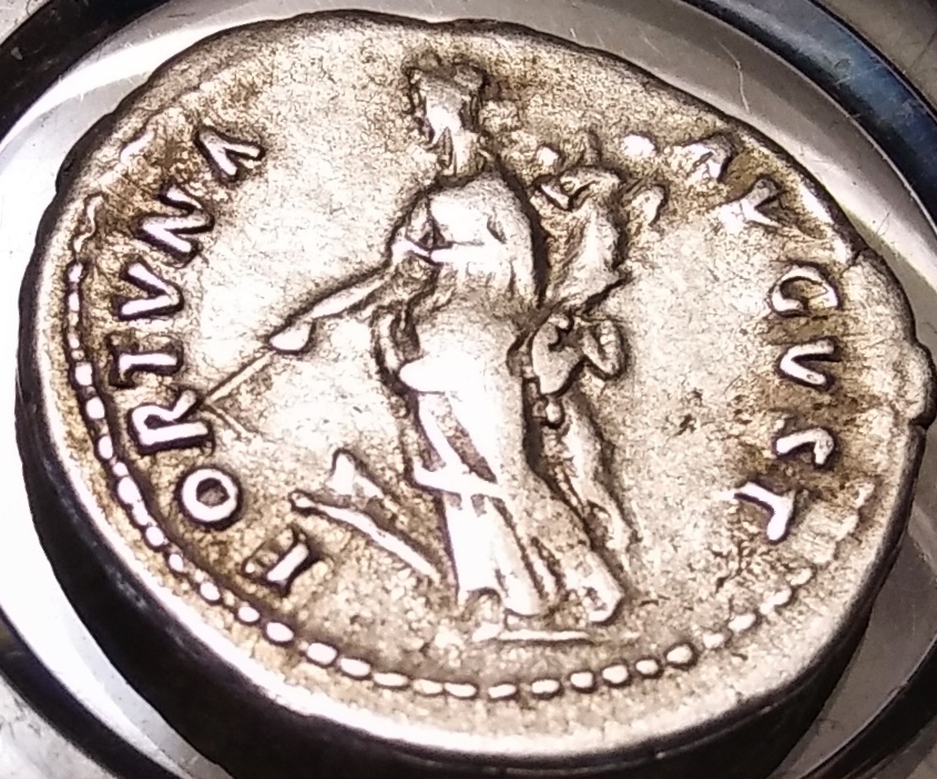Nerva Rev. 3.jpg