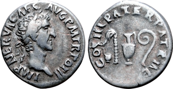 NERVA WHITE.jpg