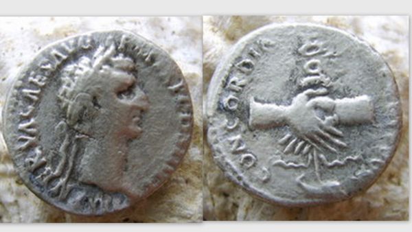 Nerva5_opt.jpg