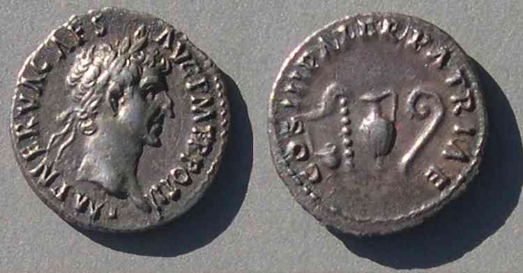 Nerva6106.jpg