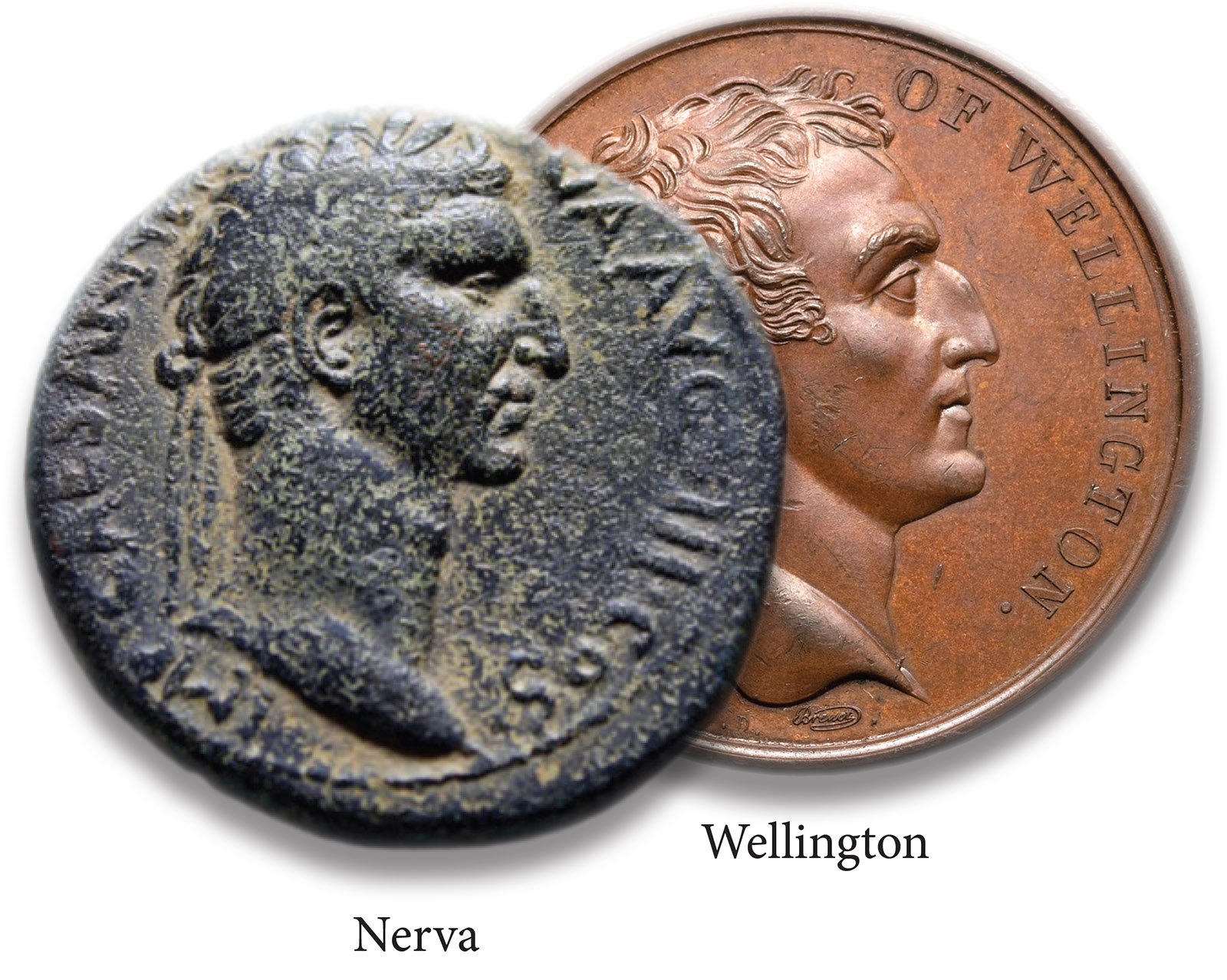 NERVA_WELLINGTON.jpg