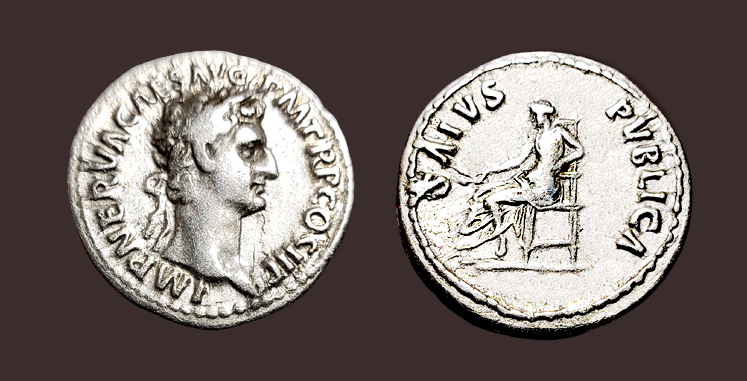 NervaSalus-2.jpg