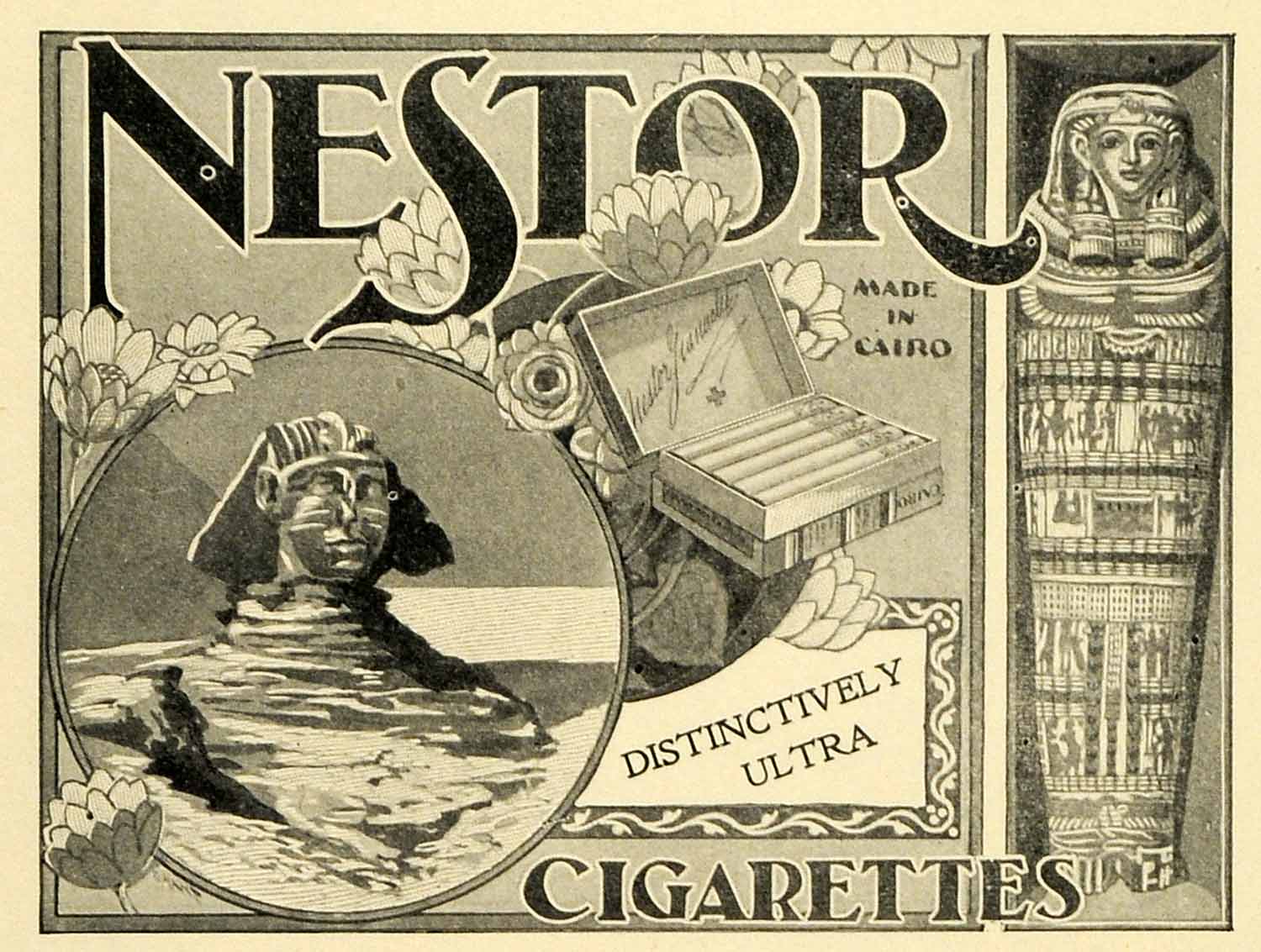 nestor.jpg