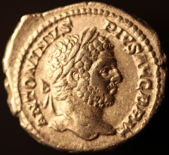 New Ancients 5 27 15 001_opt.jpg