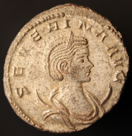 New Ancients 5 27 15 005_opt.jpg