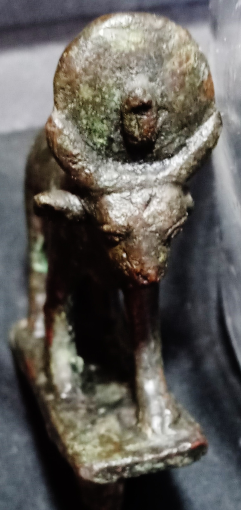 New Apis Bull 23.jpeg