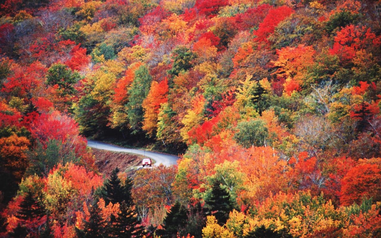 new-england-GettyImages-10029420-xlarge.jpg