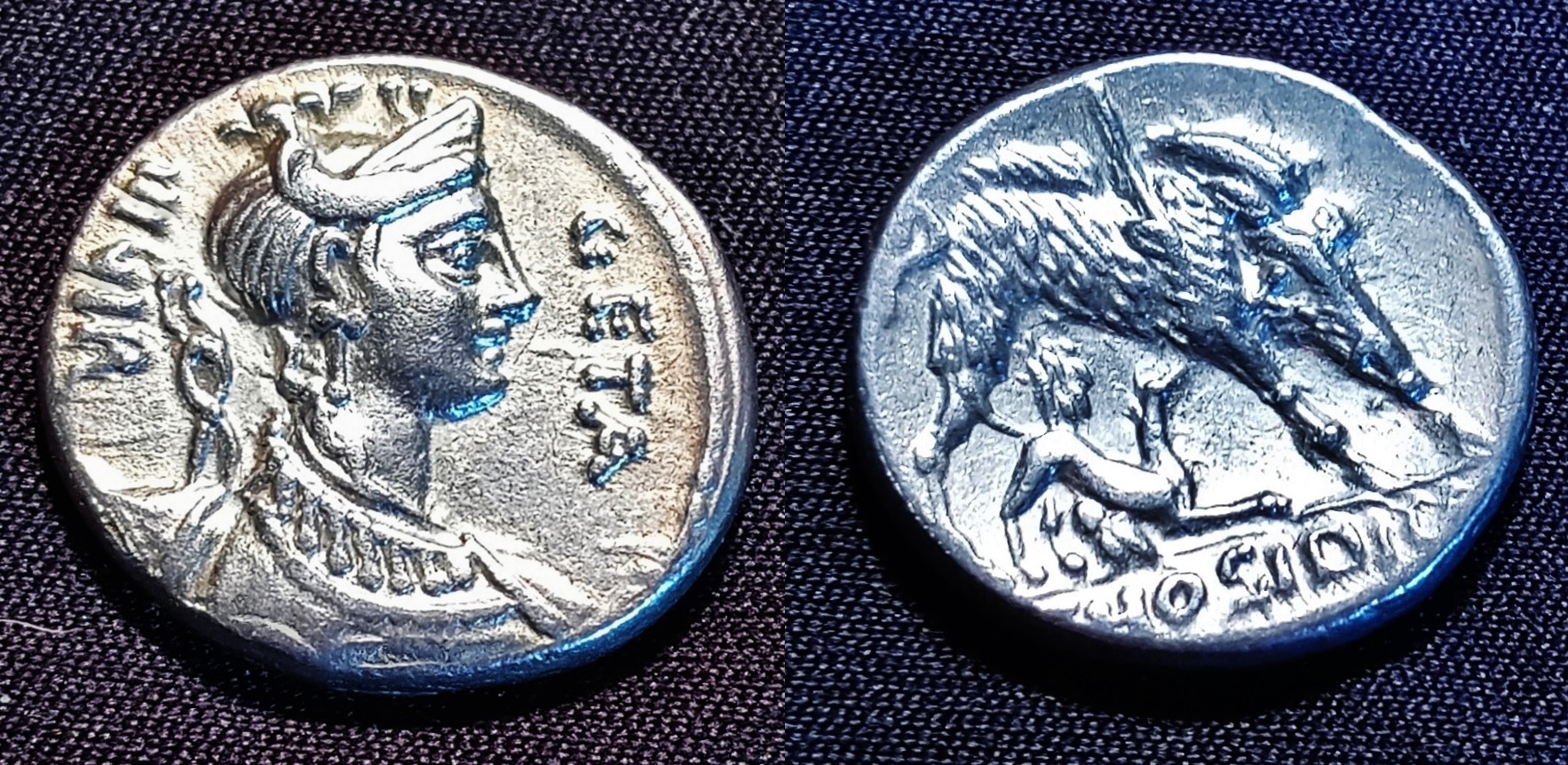 New Hosidius Geta Diane-Boar COMBINED.jpg