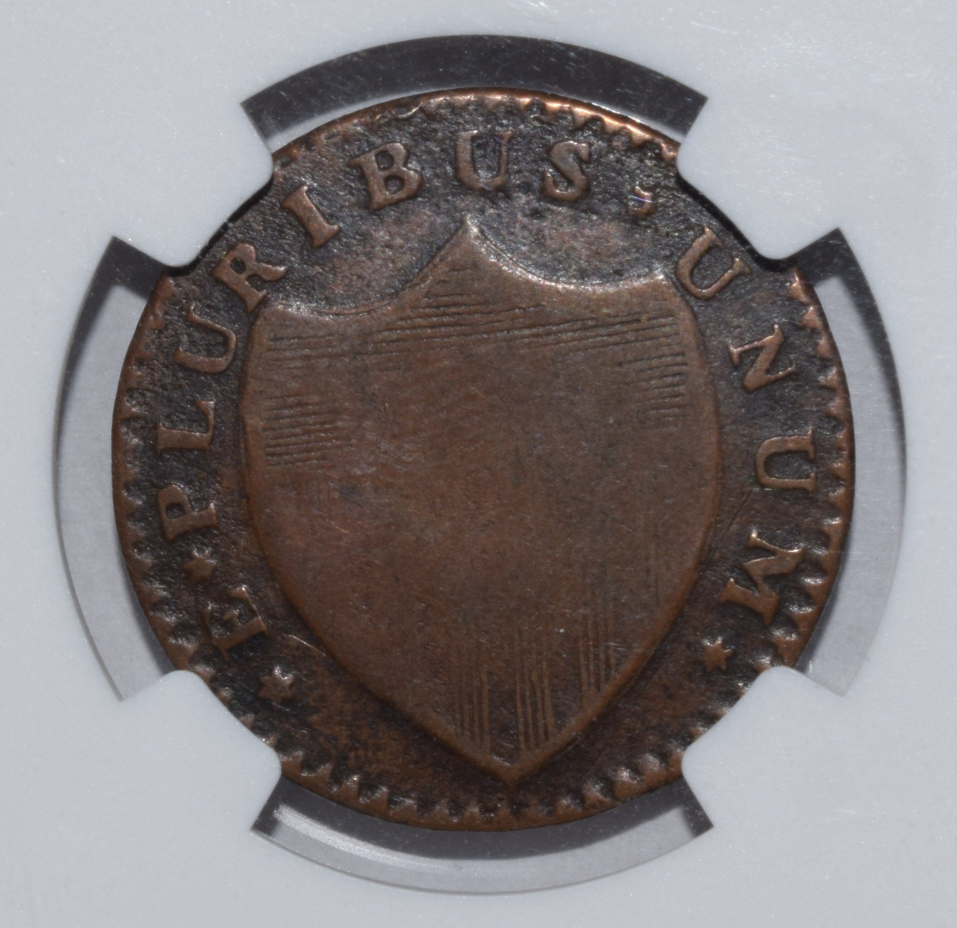 New Jersey Bridle Reverse.jpg