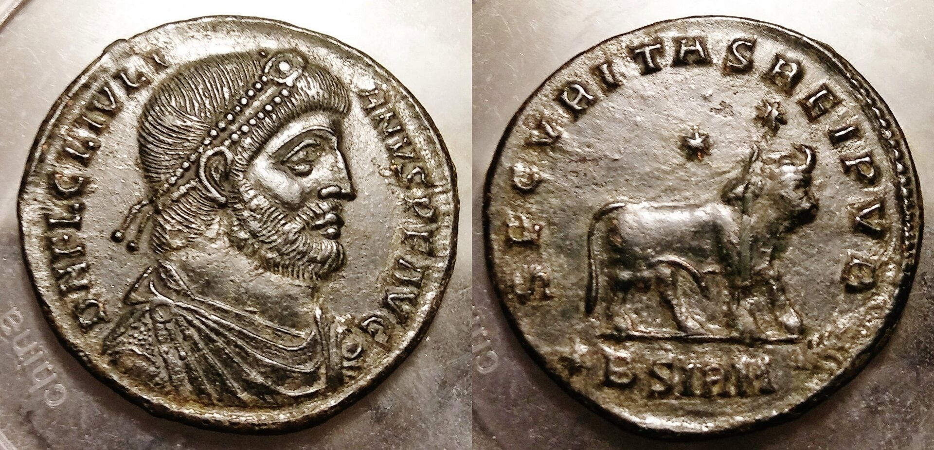 New Julian II - bull COMBINED (light background).jpg