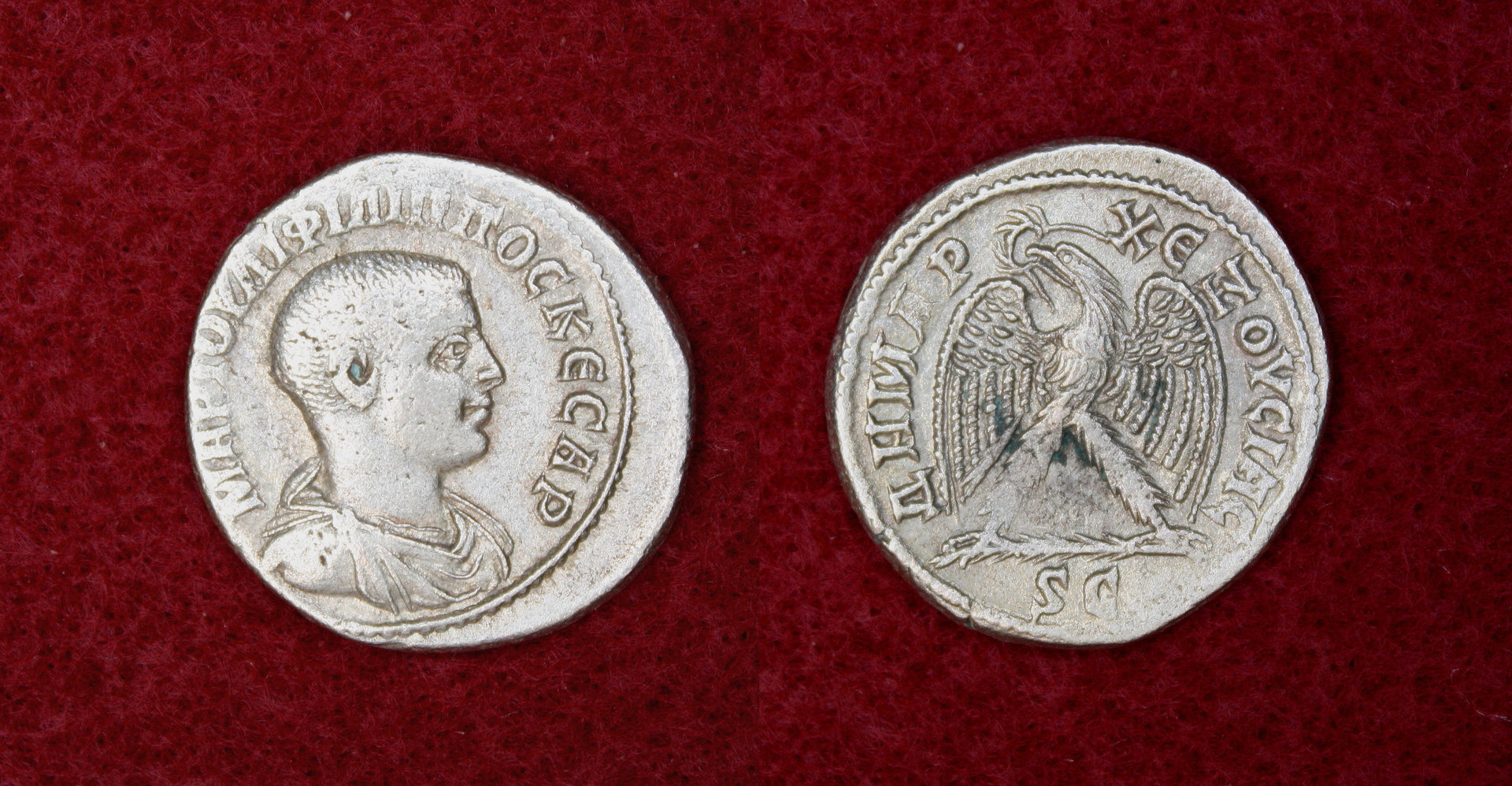 New Philip Tet #5.jpg