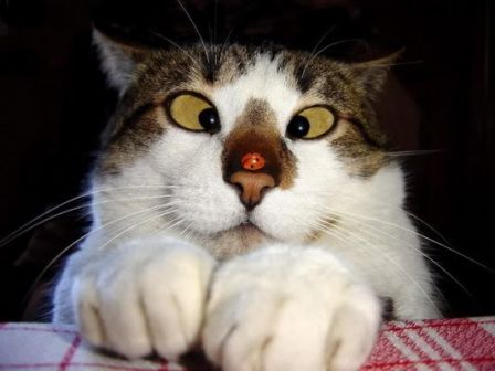 New-Picture-57.jpg