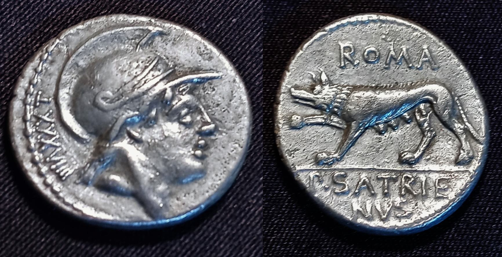 NEW Satrienus - Mars-She-Wolf Denarius  COMBINED.jpg