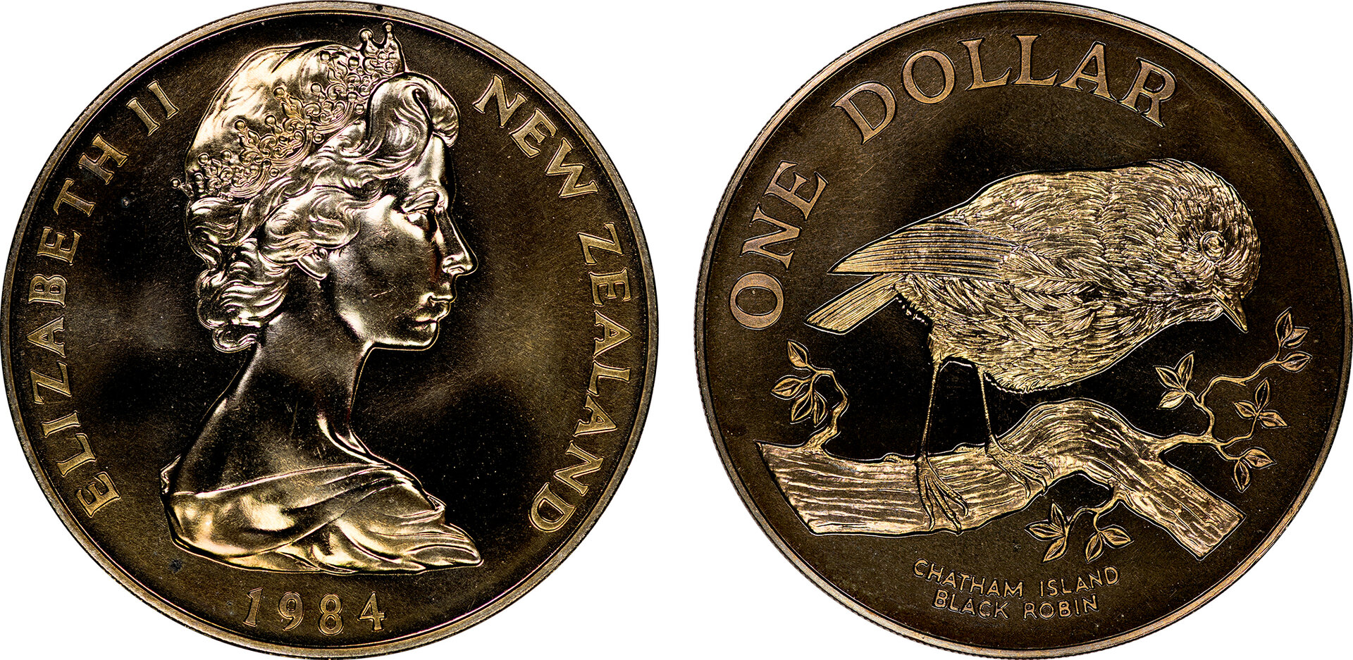 New Zealand - 1984 1 Dollar (Black Robin).jpg