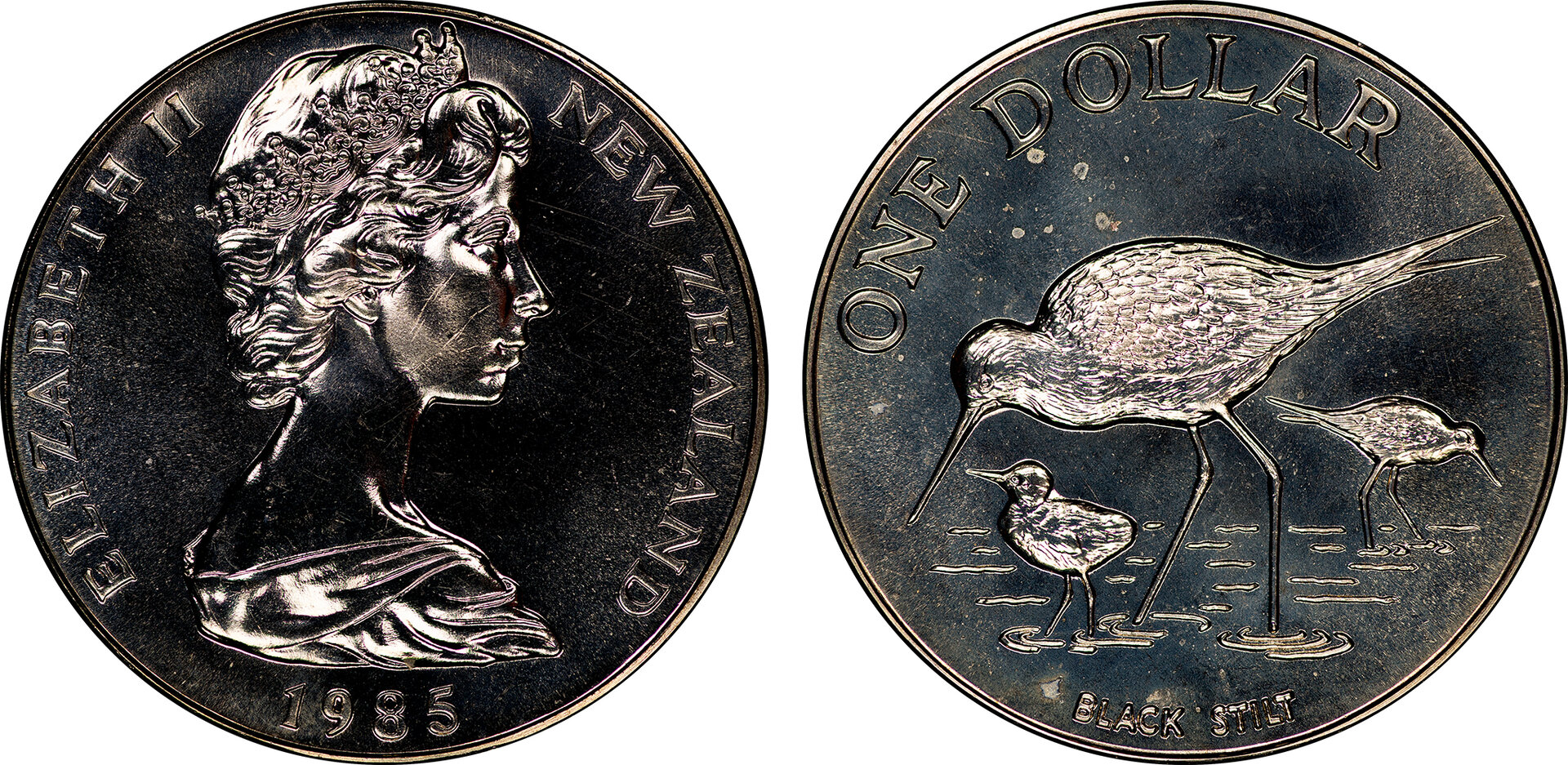 New Zealand - 1985 1 Dollar (Black Stilt).jpg