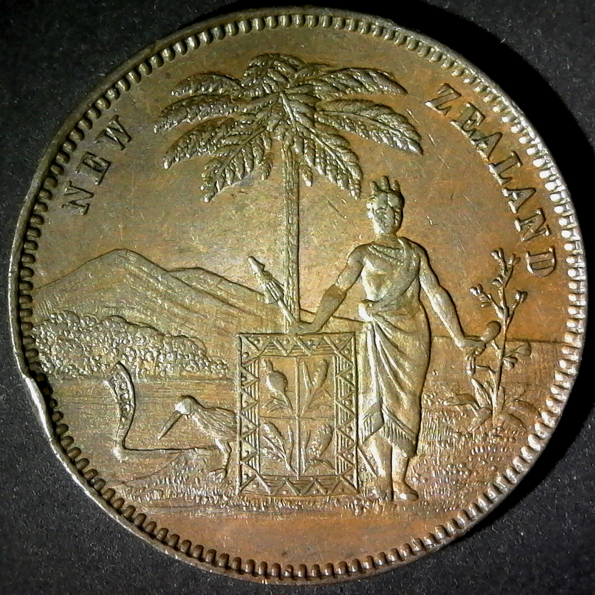 New Zealand Aukland Milner and Thompson Penny 1881 reverse.jpg