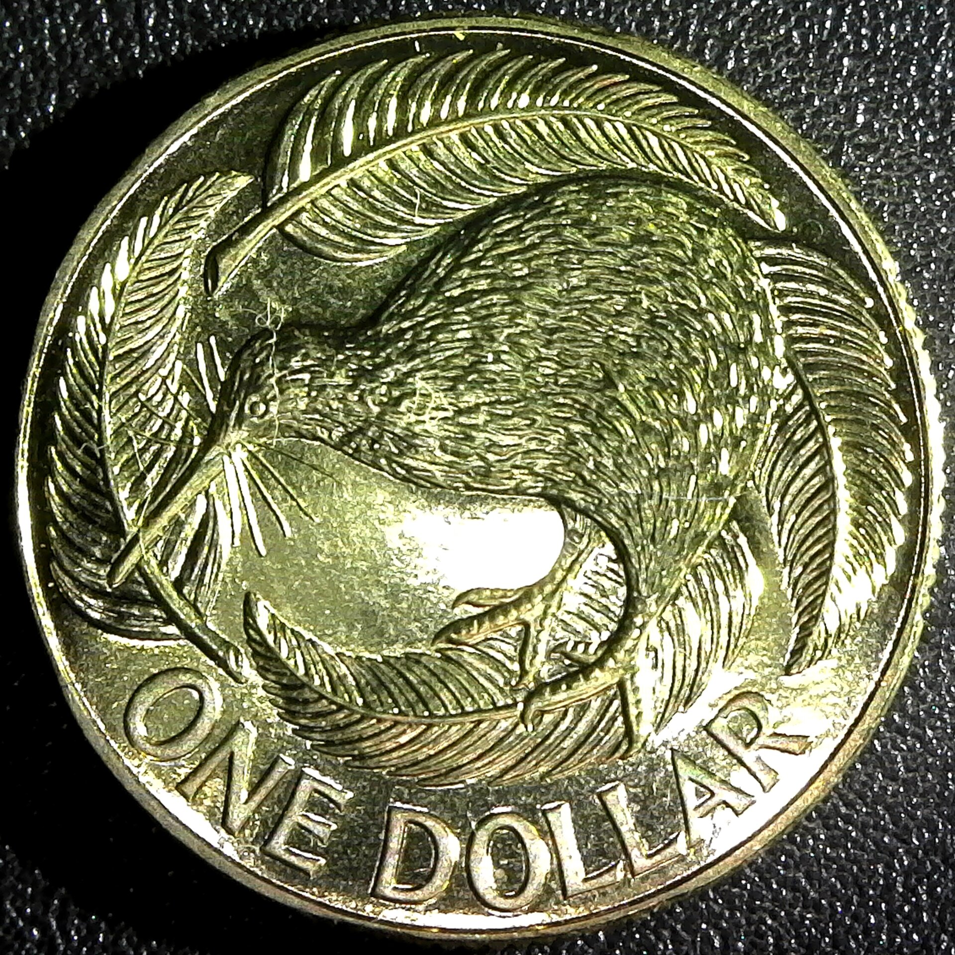 New Zealand One Dollar 1990 rev.jpg