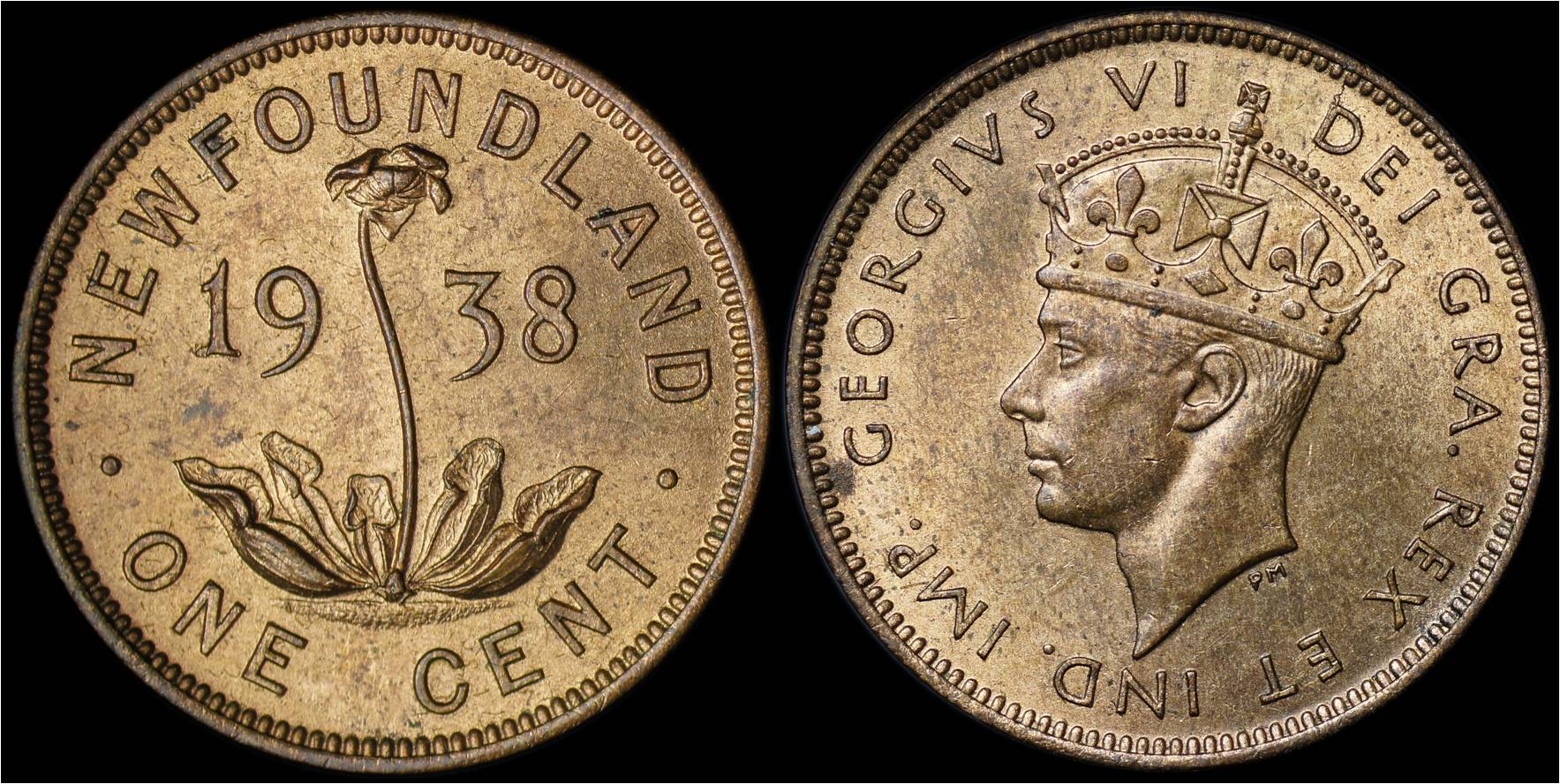 Newfoundland 1938 cent.jpg