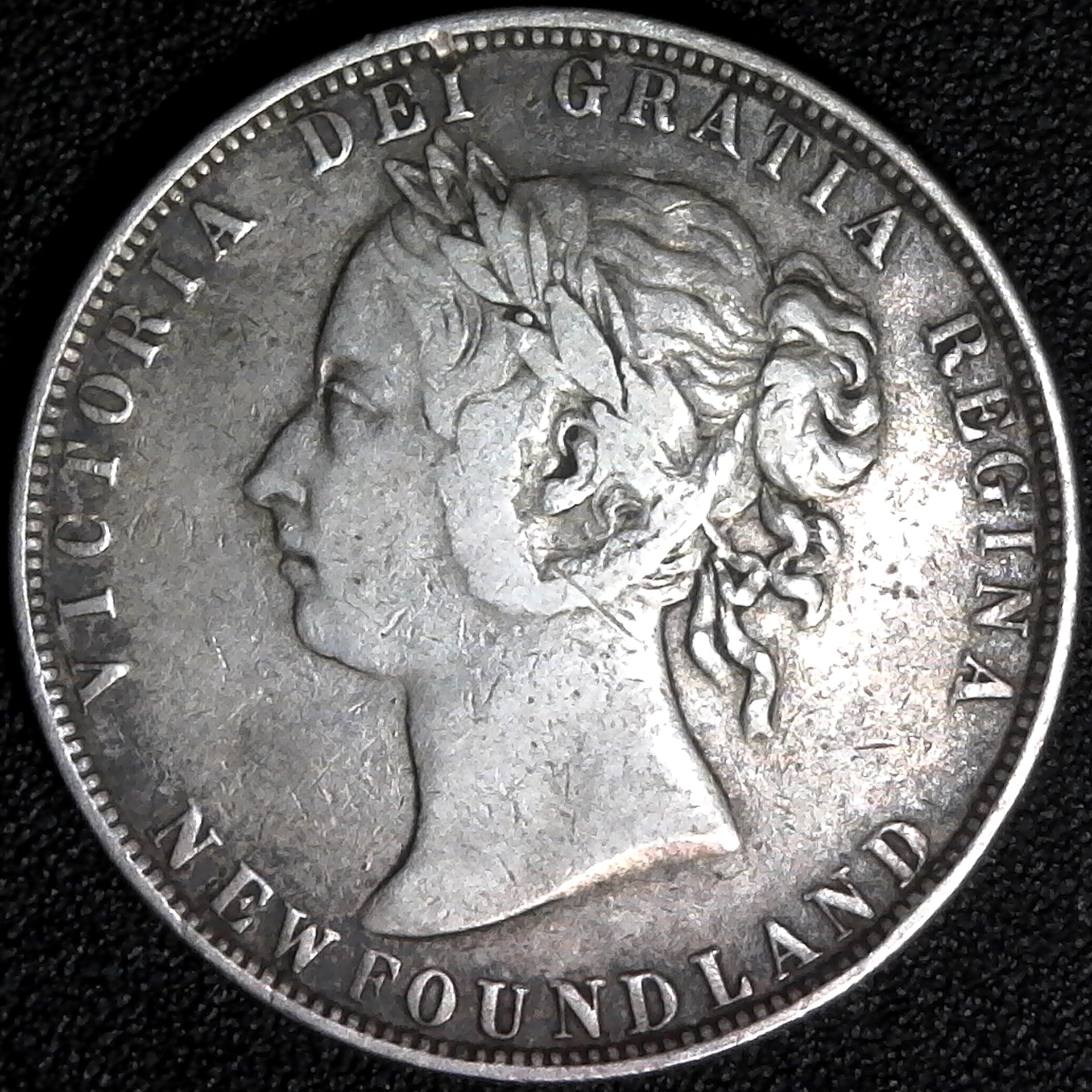 Newfoundland 50 Cents 1900 obv.jpg