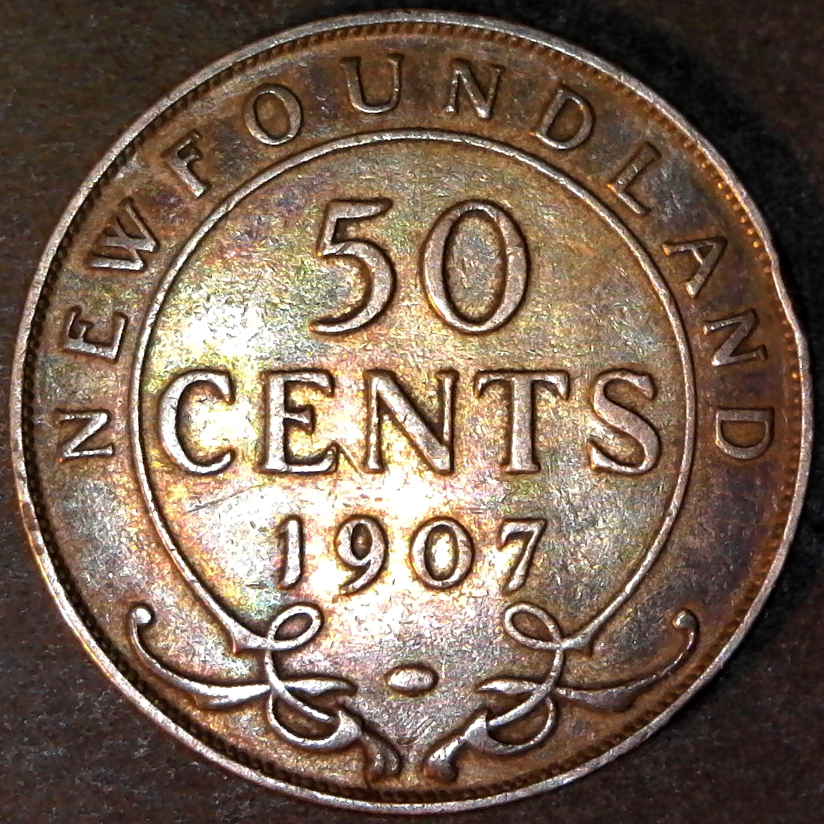 Newfoundland 50 Cents 1907 obv C.jpg