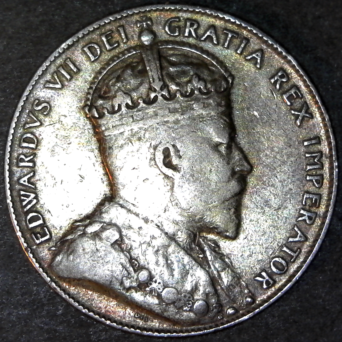 Newfoundland 50 Cents 1907 rev A.jpg