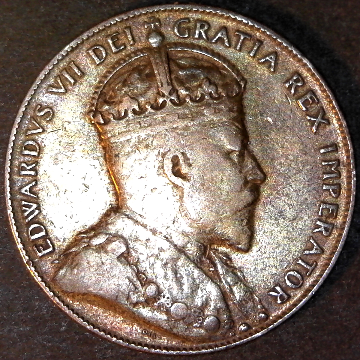 Newfoundland 50 Cents 1907 rev C.jpg