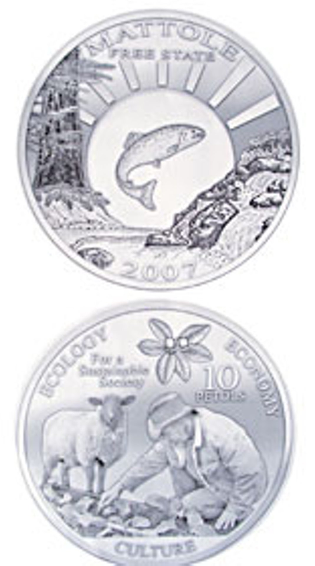 news-petol-coin_.jpg