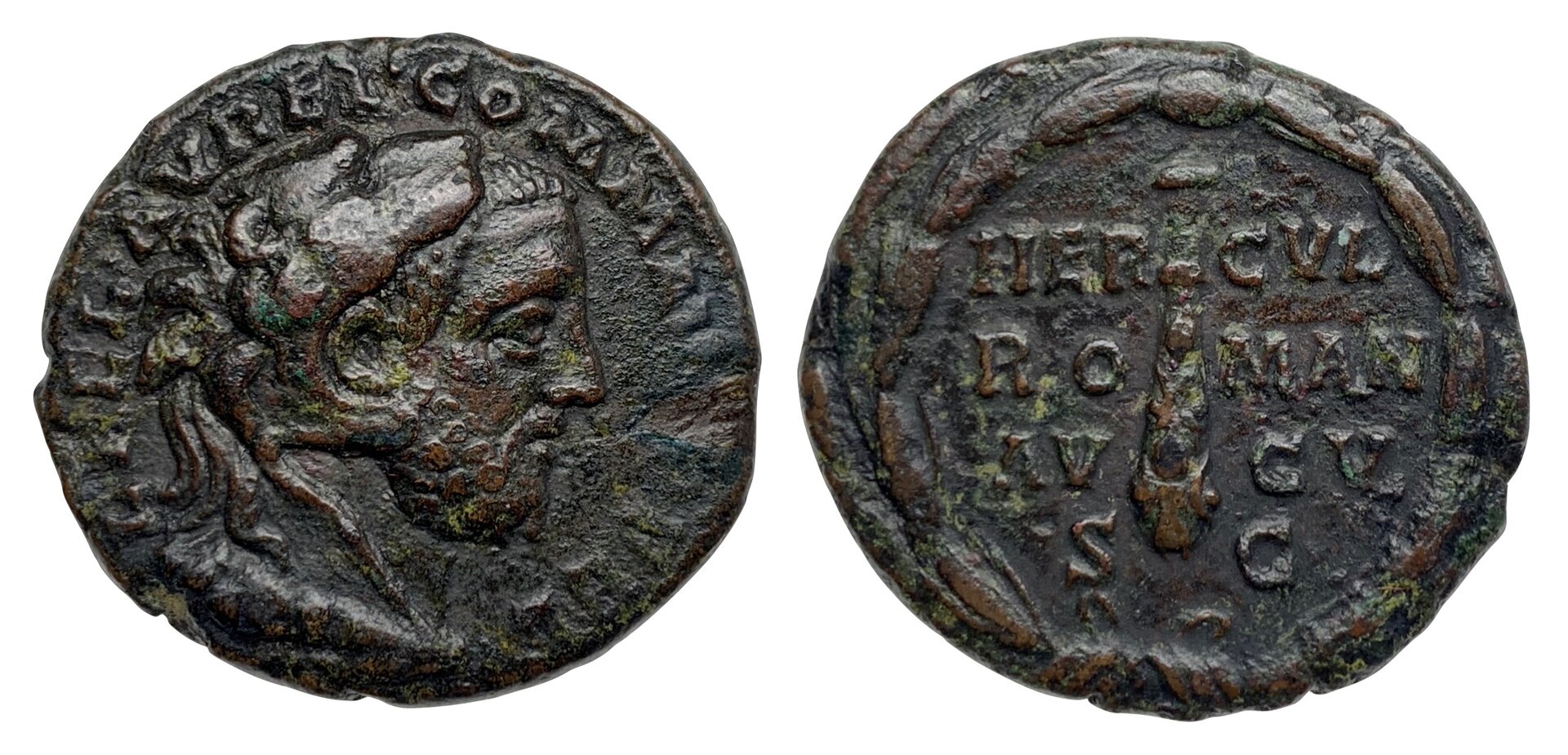 NFA commodus.jpg