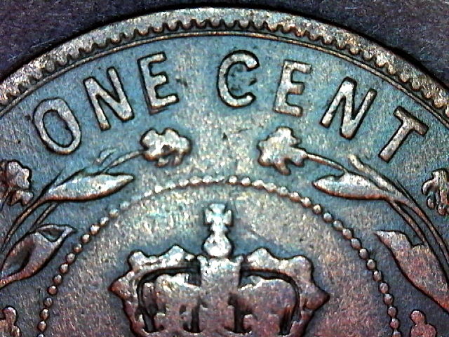 Nfld_1885_eovere_S20151027_0021.jpg