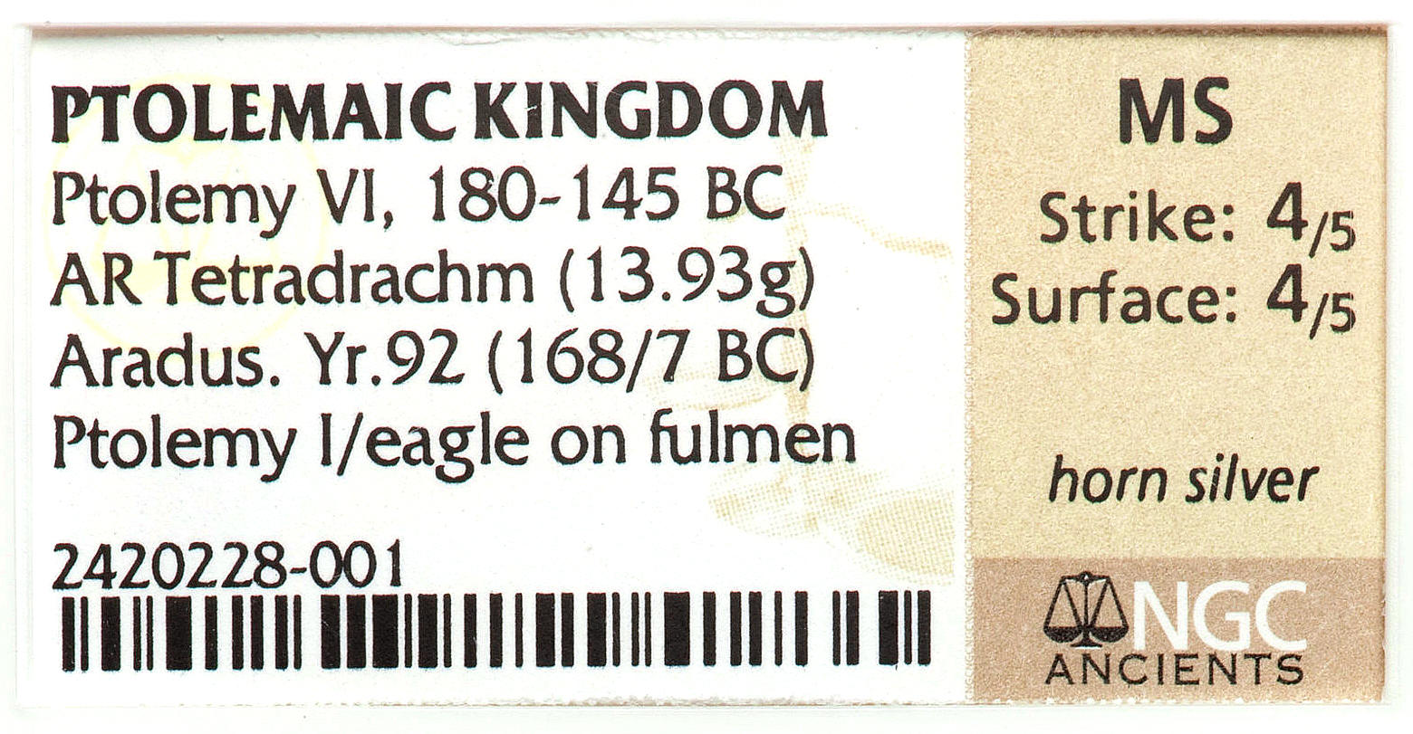 NGC 2420228-001 slab insert.jpg