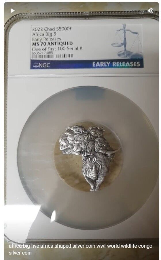 NGC Slabbed Africa Big 5 example.jpg