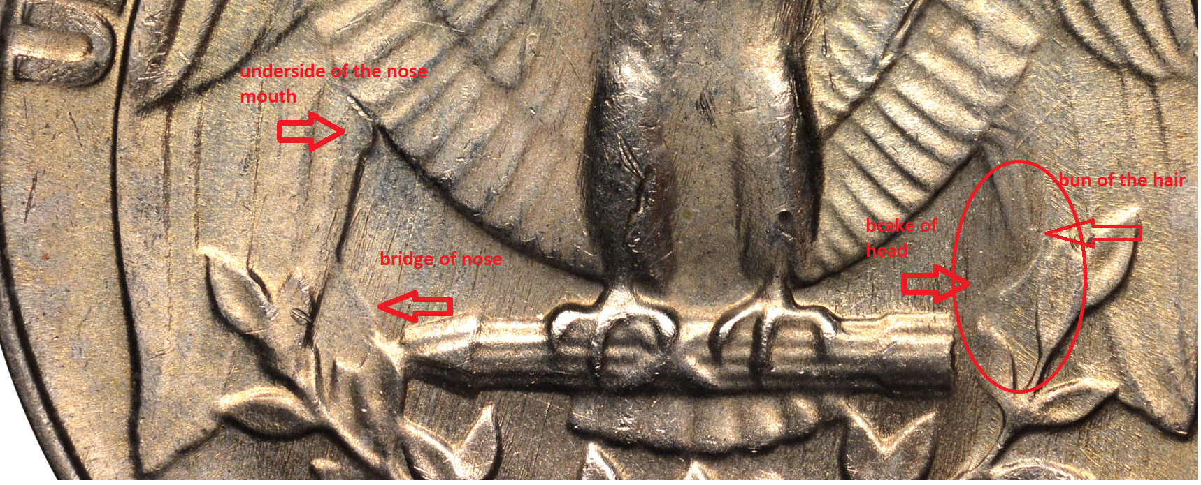 ngc's pic002.png