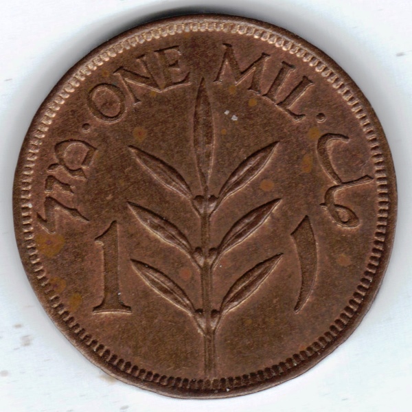 NHPSE002#2.JPG
