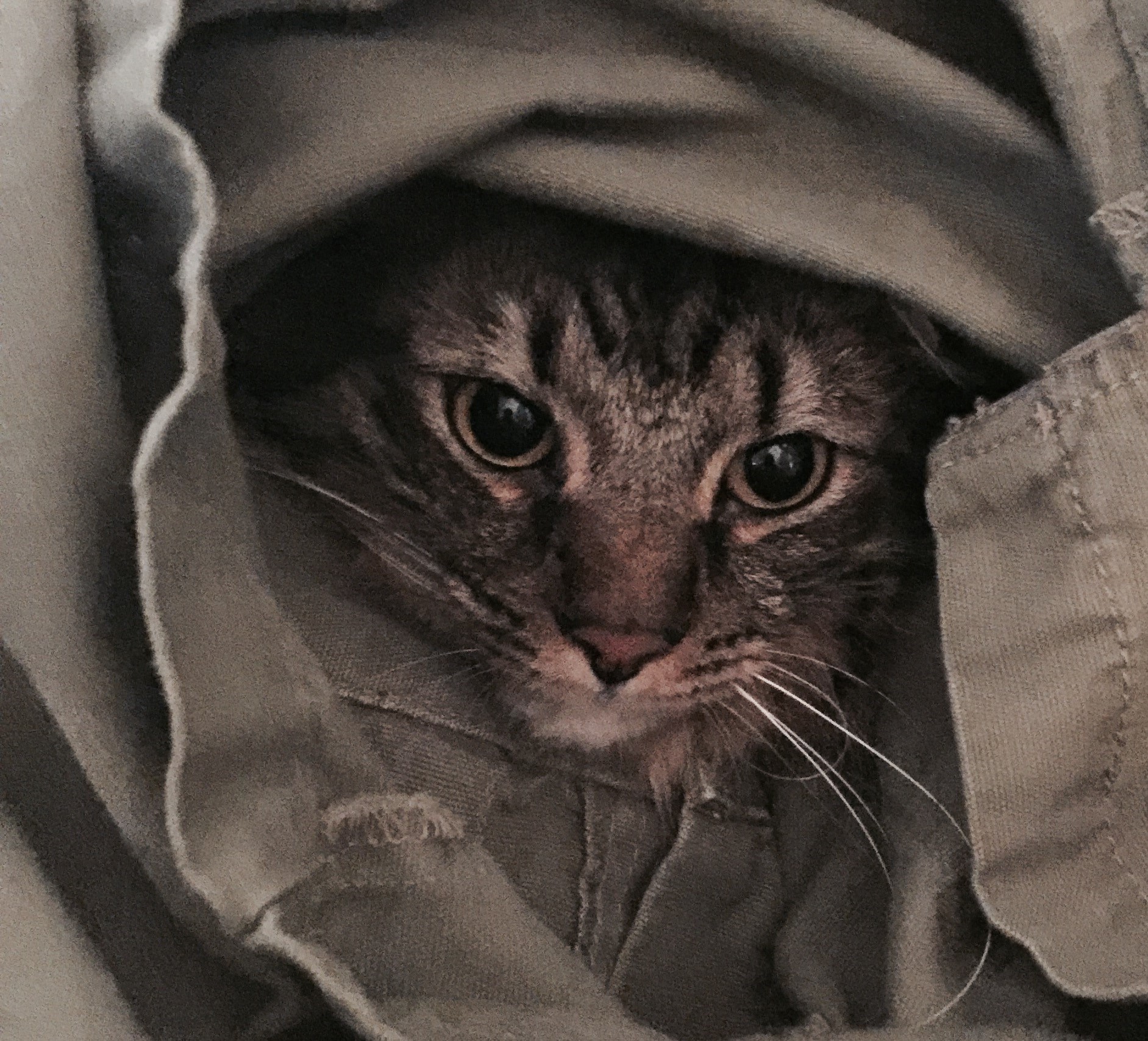 Nibbles 2016.jpg