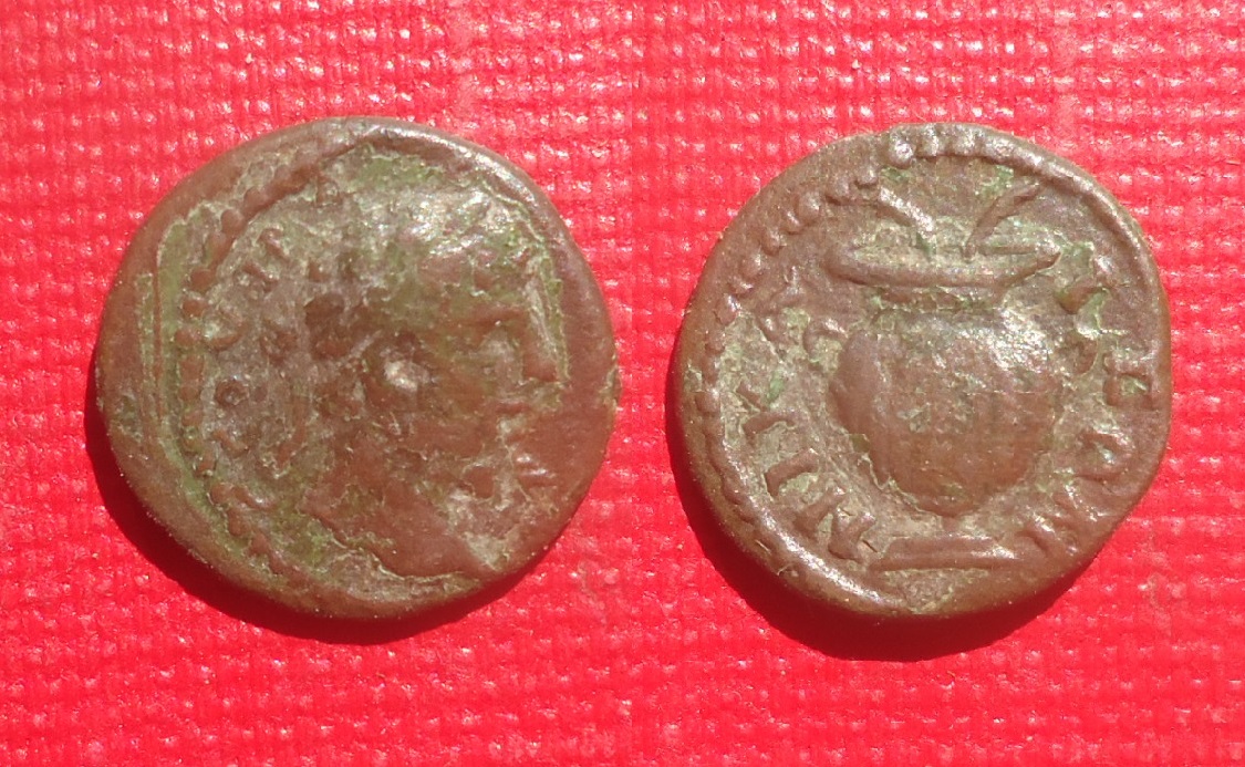 Nicacea, Bithynia - Sept. Severus Urn Jun 2022 (0).jpg