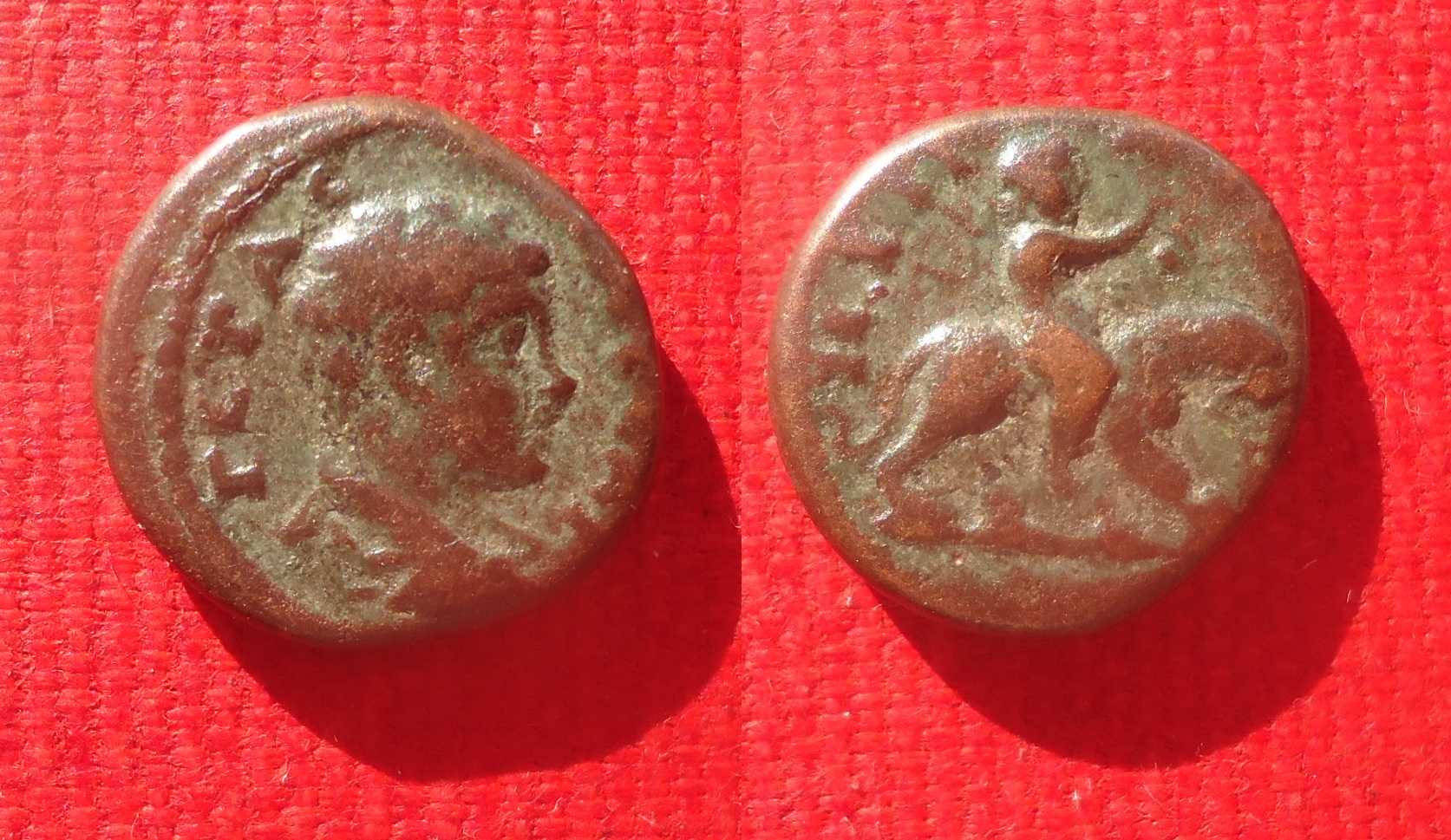 Nicaea, Bithynia - Geta Dionysos on Panther lot Feb 2022 (0).jpg