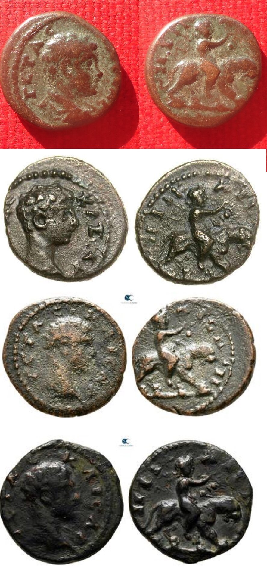 Nicaea, Bithynia - Geta Dionysos on Panther lot Feb 2022 (0w WW).jpg