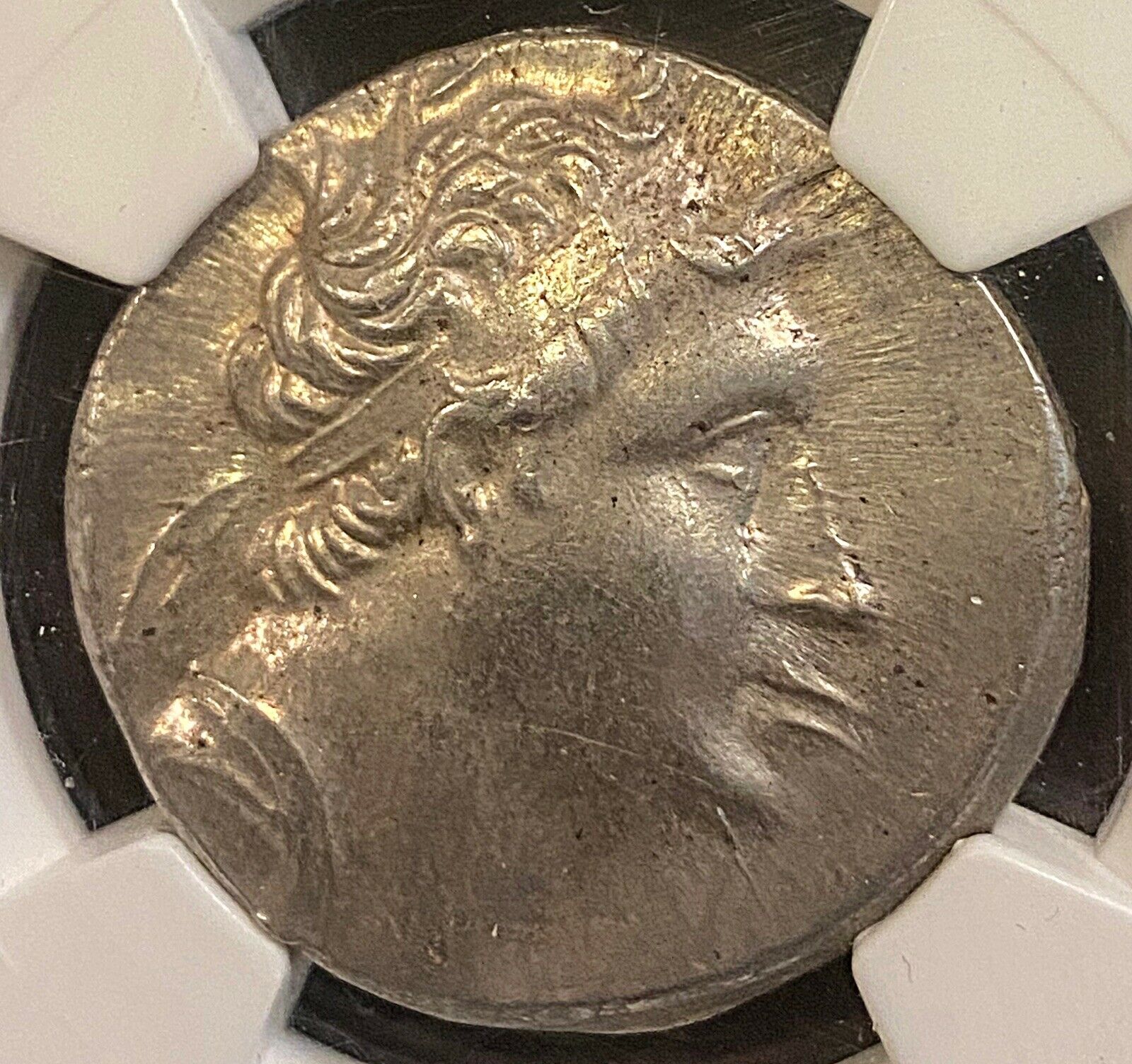 NICODUCKUS_IV_B.jpg