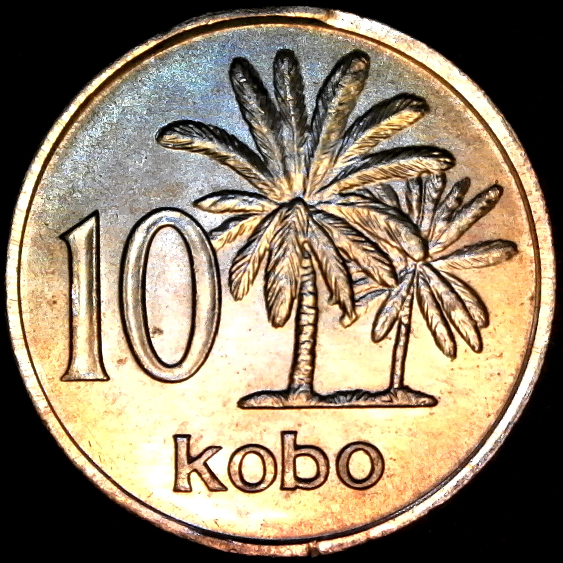 Nigeria 10 Kobo 1976 rev.jpg