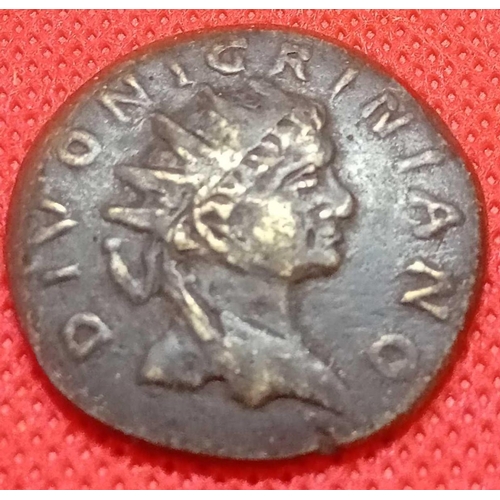 Nigriniano 1.jpg