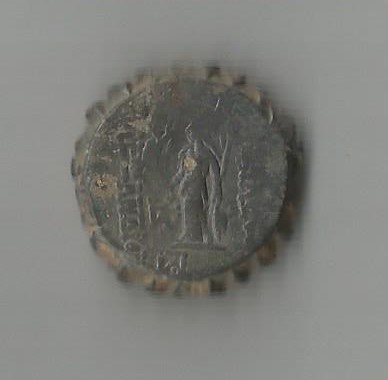 NikAlex R 001.jpg