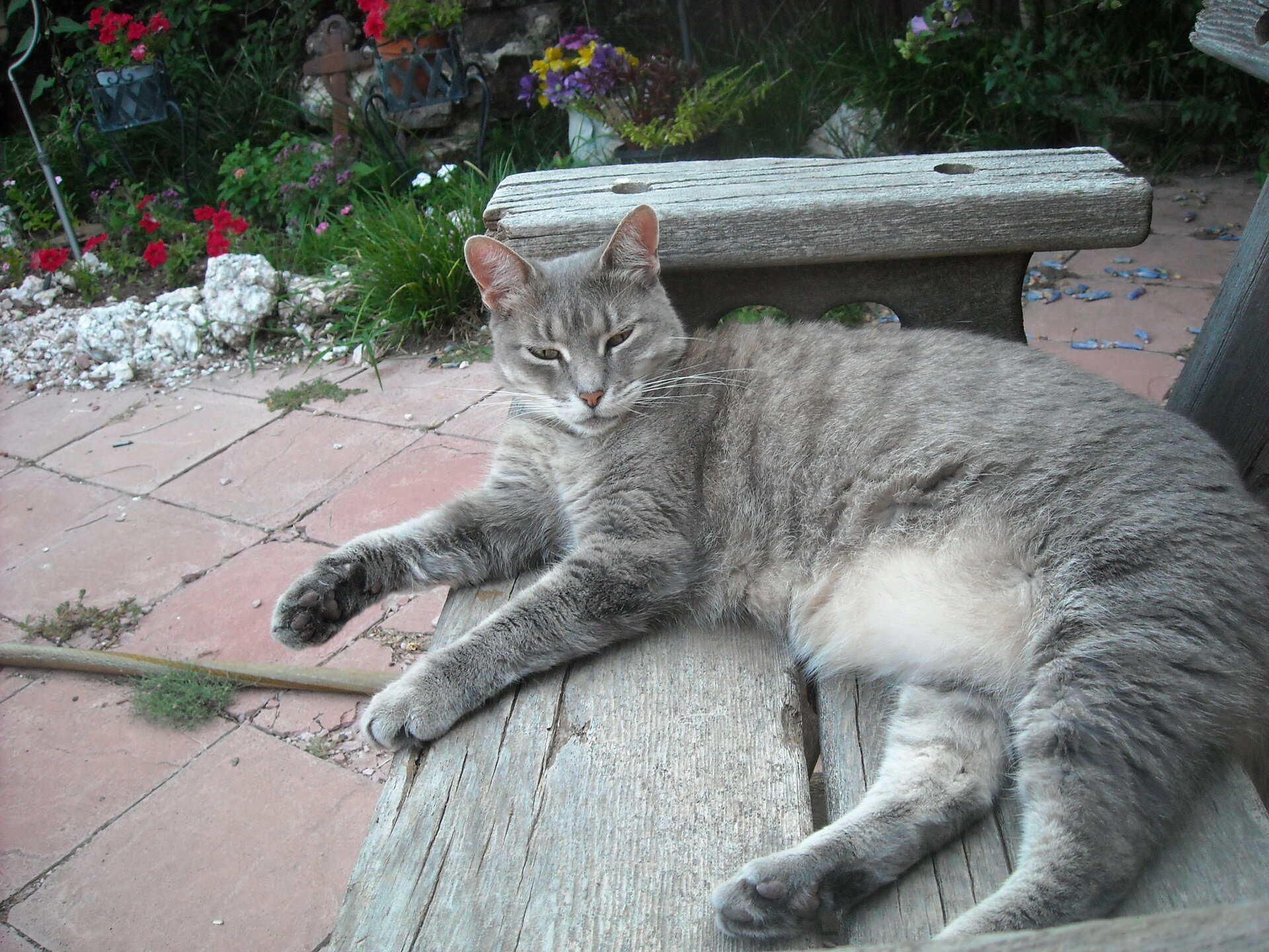 nikon 030.JPG