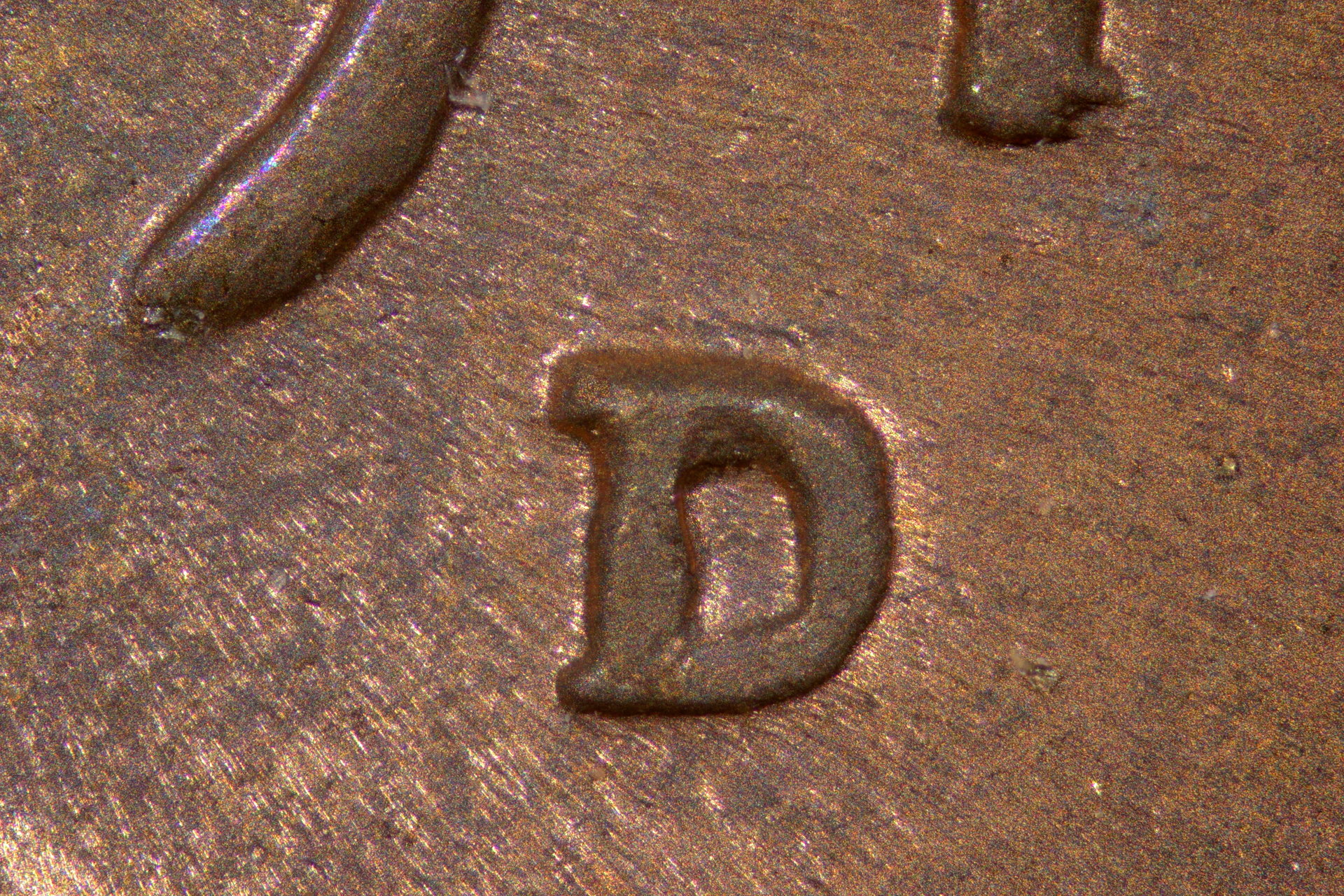 Nikon10MS2_2_1.JPG