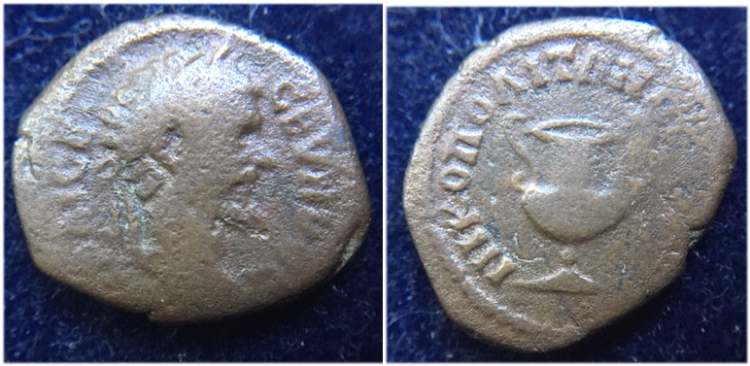 Nikopolis, Moesia - Septimius Severus AE Kantharos Varb 2495 - WildWinds pic.jpg