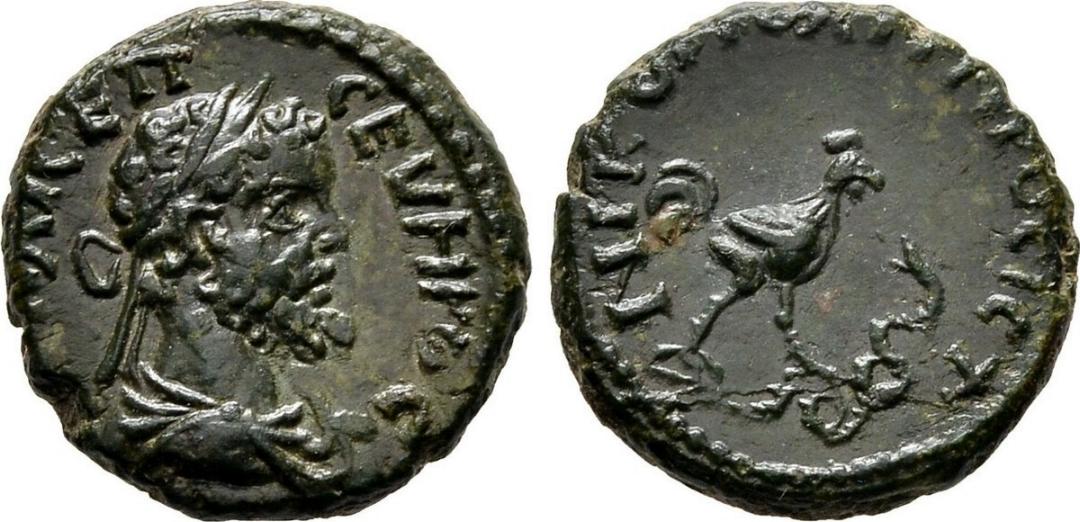 nikopolis_14_sept_severus_HrHJ(2017)8.14.10.36.jpg